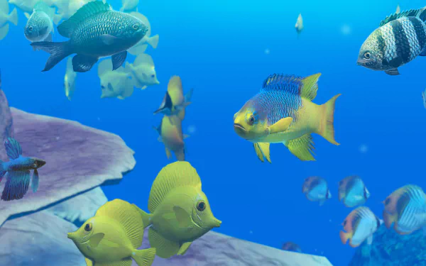 Endless Ocean HD Desktop Wallpaper | Background Image