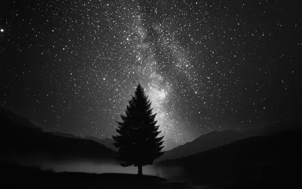 A serene landscape under a black, starry sky, this HD image serves as an elegant desktop wallpaper, capturing the beauty of nighttime tranquility.