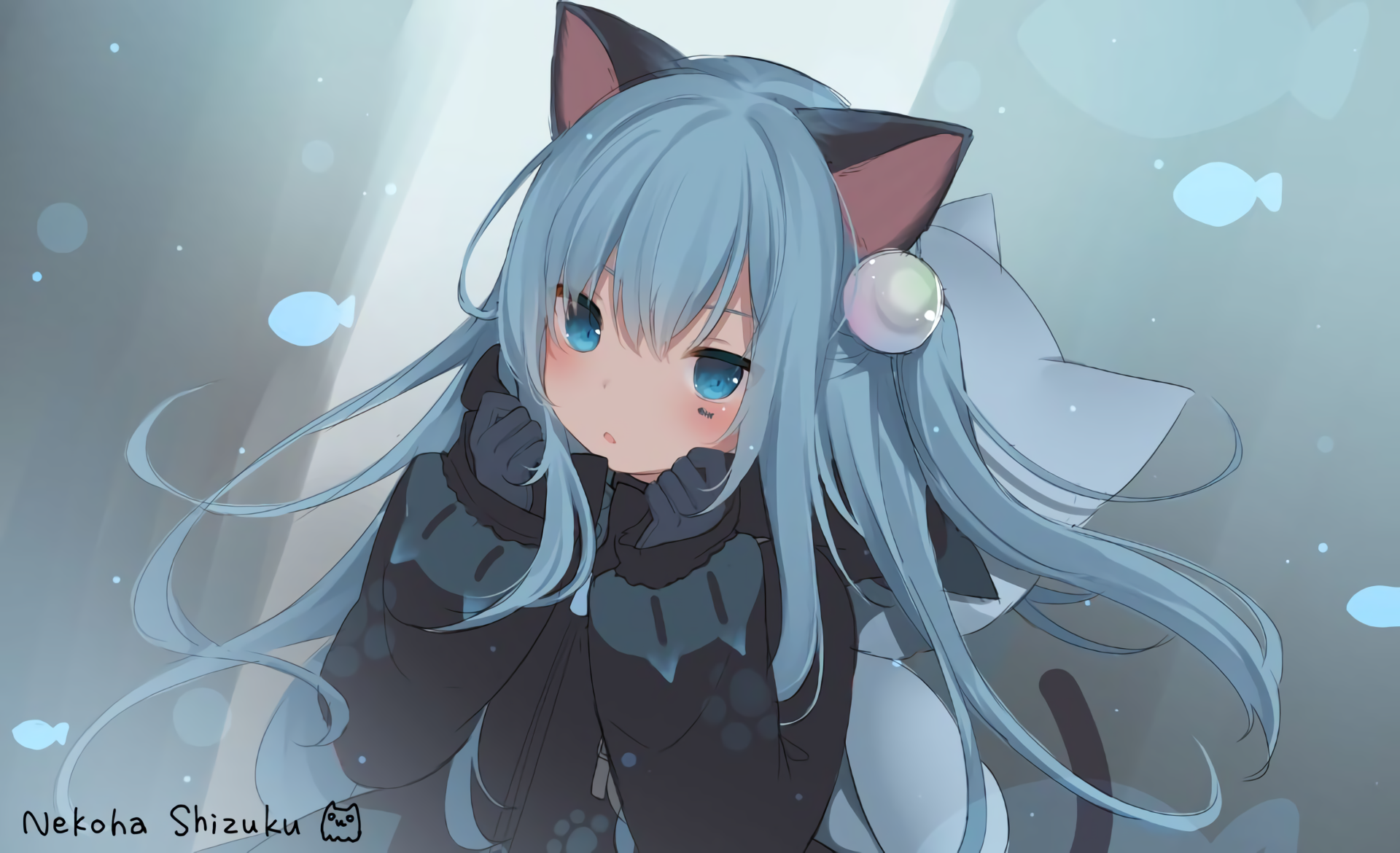 Download Nekoha Shizuku HD Wallpaper by 甘城Nachoneko