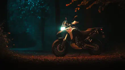 Honda 750 Africa Twin RD04 forest night HD Desktop Wallpaper | Background Image
