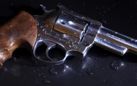 gun HD Desktop Wallpaper | Background Image
