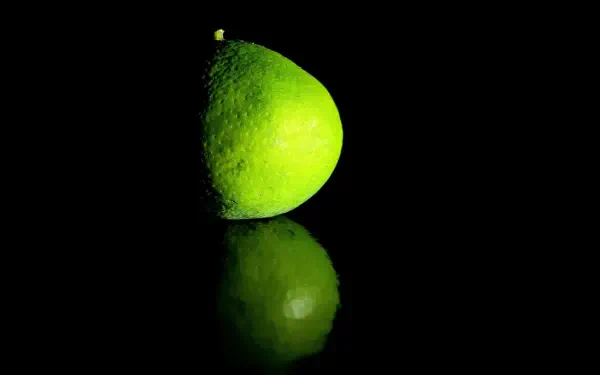 macro food HD Desktop Wallpaper | Background Image
