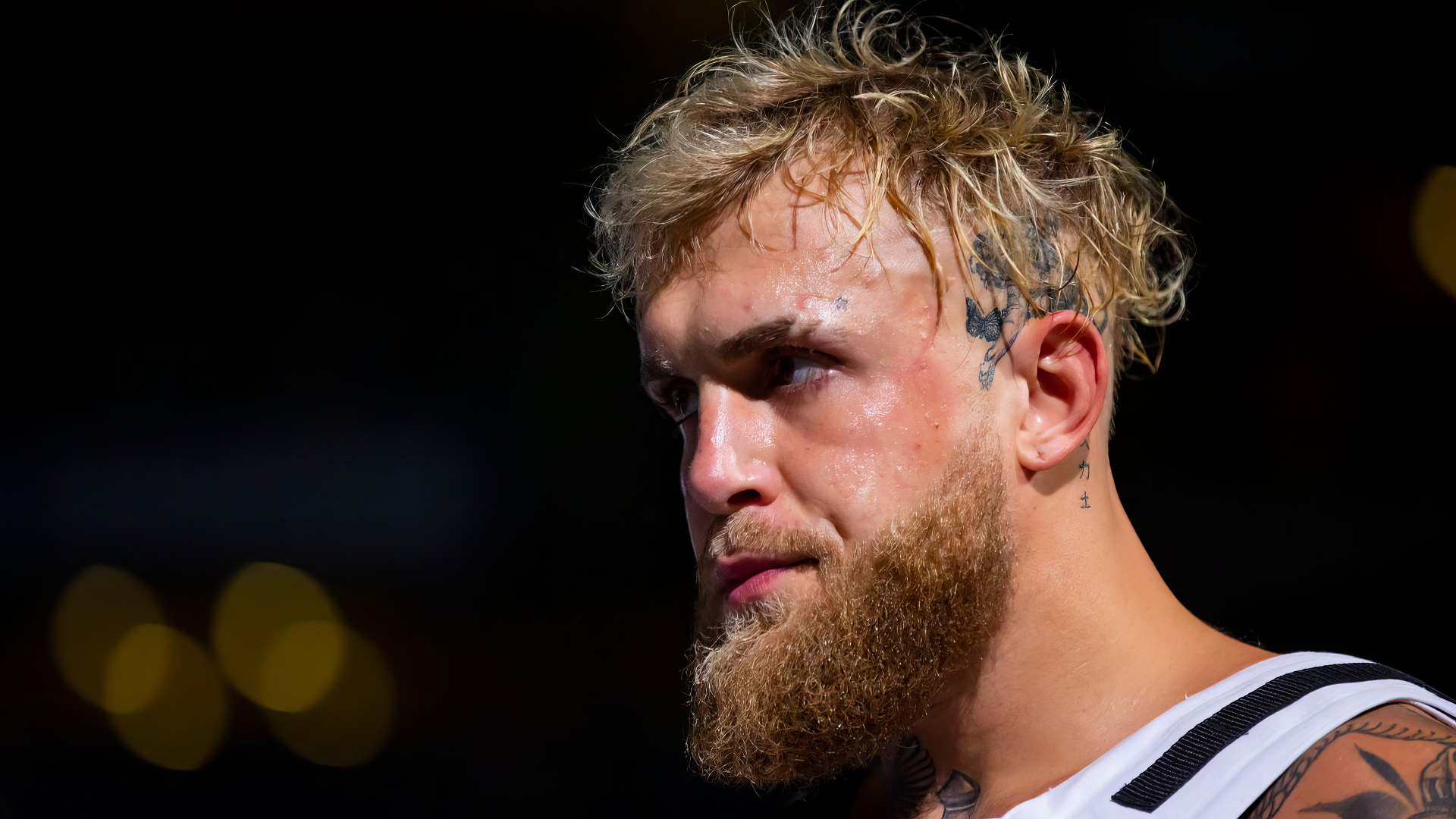 A close-up of YouTuber Jake Paul, showcasing his intense expression, tousled hair, and beard. This striking HD image serves as an engaging desktop wallpaper and background.