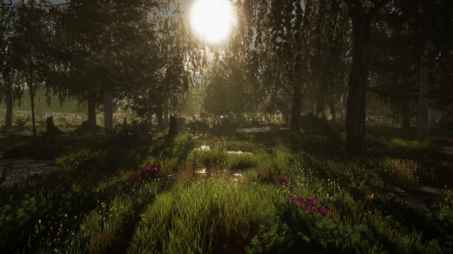 A serene nature scene from the video game The Quinfall, featuring vibrant greenery and soft sunlight filtering through a forest, creating a peaceful atmosphere. HD PC desktop wallpaper.