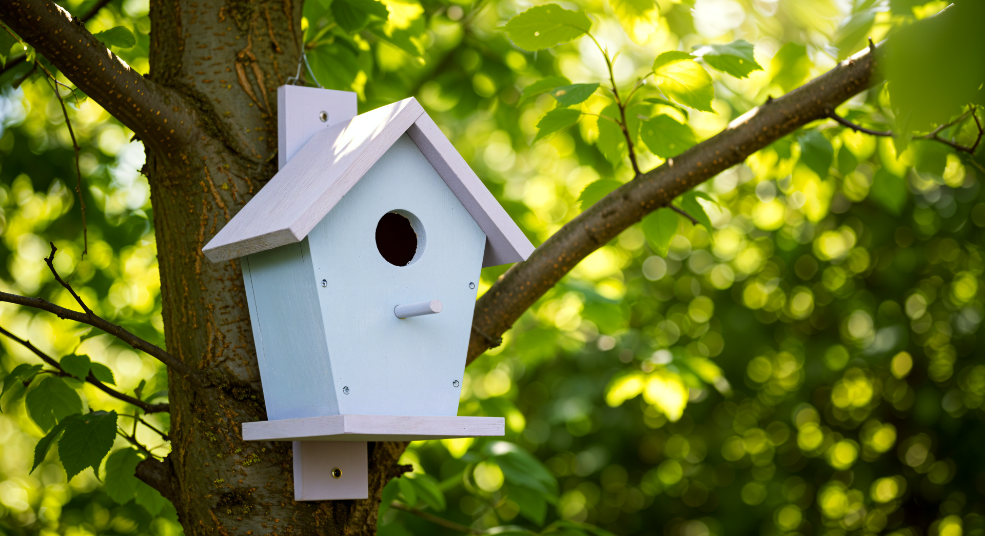 A charming birdhouse hangs on a tree branch, surrounded by lush green foliage, captured in stunning 4K Ultra HD, serving as a delightful desktop wallpaper and background.