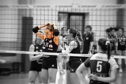 Sports volleyball HD Desktop Wallpaper | Background Image