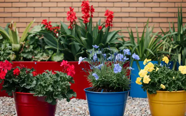Vibrant urban gardening scene featuring colorful flower pots in red, blue, and yellow, surrounded by lush greenery and blooming flowers against a brick wall. 4K Ultra HD wallpaper.