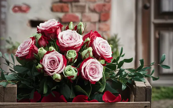 A lush rose bouquet featuring pink and red blooms, surrounded by greenery, set against a rustic brick background. This vibrant image serves as a stunning 4K Ultra HD wallpaper.