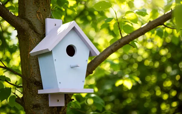 A charming birdhouse hangs on a tree branch, surrounded by lush green foliage, captured in stunning 4K Ultra HD, serving as a delightful desktop wallpaper and background.