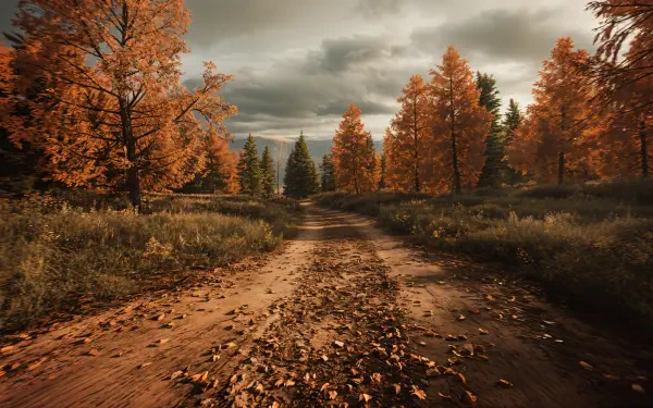 A 4K Ultra HD PC desktop wallpaper of a wilderness path through an autumn forest, lined with trees covered in vibrant orange and red leaves under a cloudy sky.