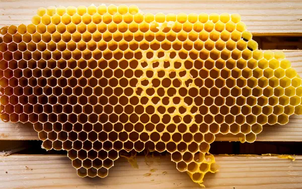 Close-up 4K Ultra HD image of a golden beeswax honeycomb in a natural beekeeping setting, showcasing intricate hexagonal patterns filled with honey.