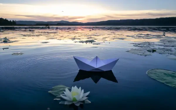 pond lake lotus paper boat flower HD Desktop Wallpaper | Background Image