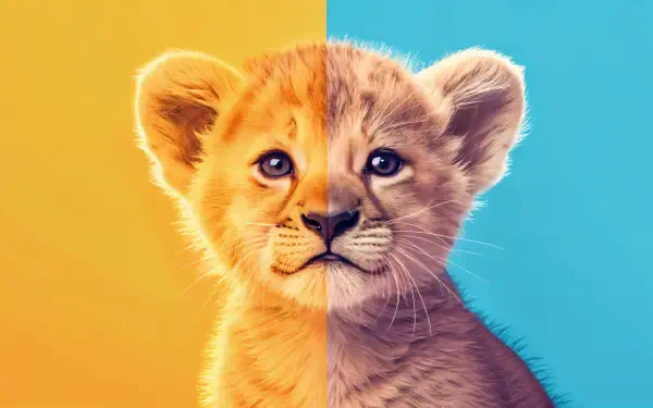 A cub with expressive eyes and soft fur, set against a vibrant split background of yellow and blue. This 4K Ultra HD image makes an engaging desktop wallpaper.