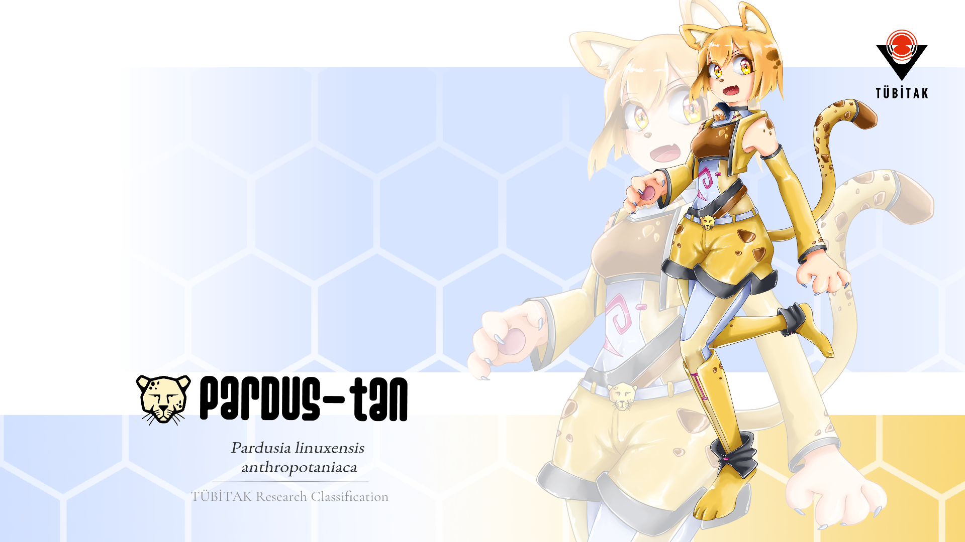 HD desktop wallpaper of Pardus-tan, an Os-tan anime cat-girl mascot for the Pardus Linux distro, posing in a yellow outfit over a pale hexagonal background with the Pardus logo.