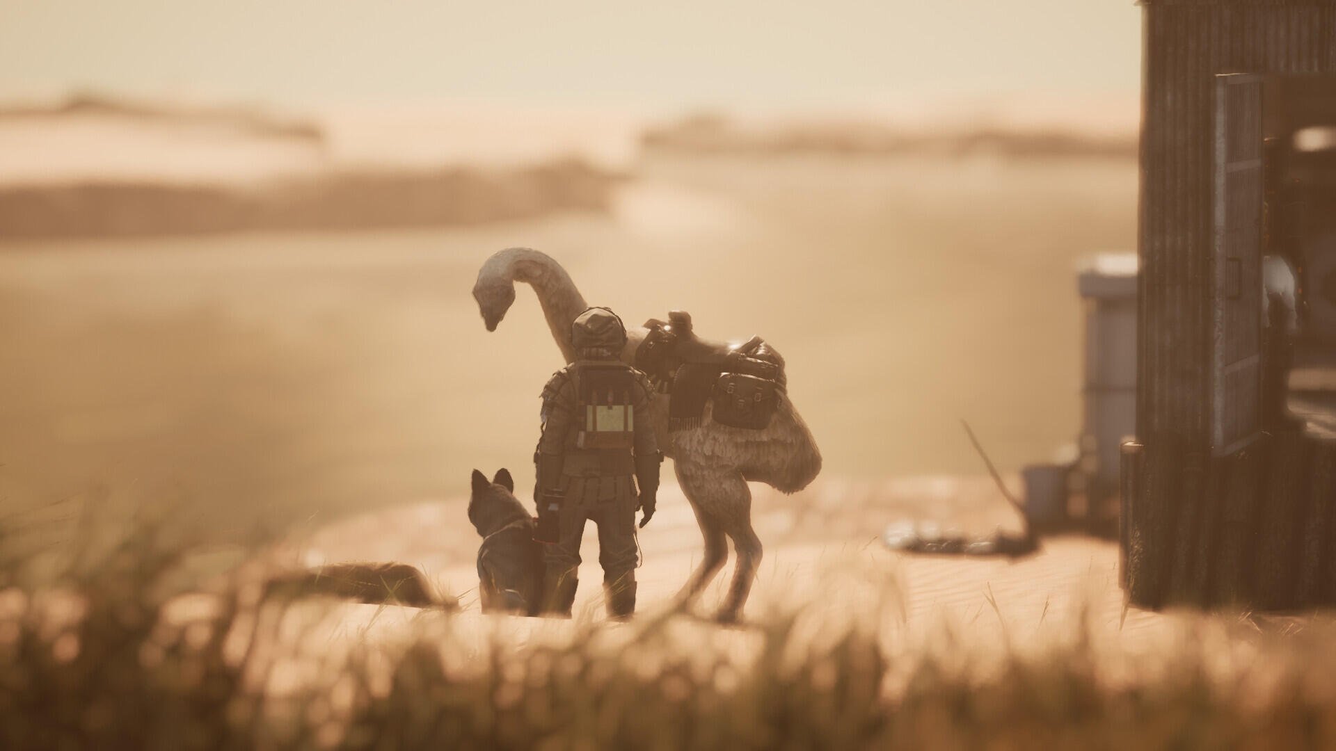 ICARUS video game HD PC desktop wallpaper/background: silhouetted survivor and canine companion walk across marsh toward a hazy golden horizon.
