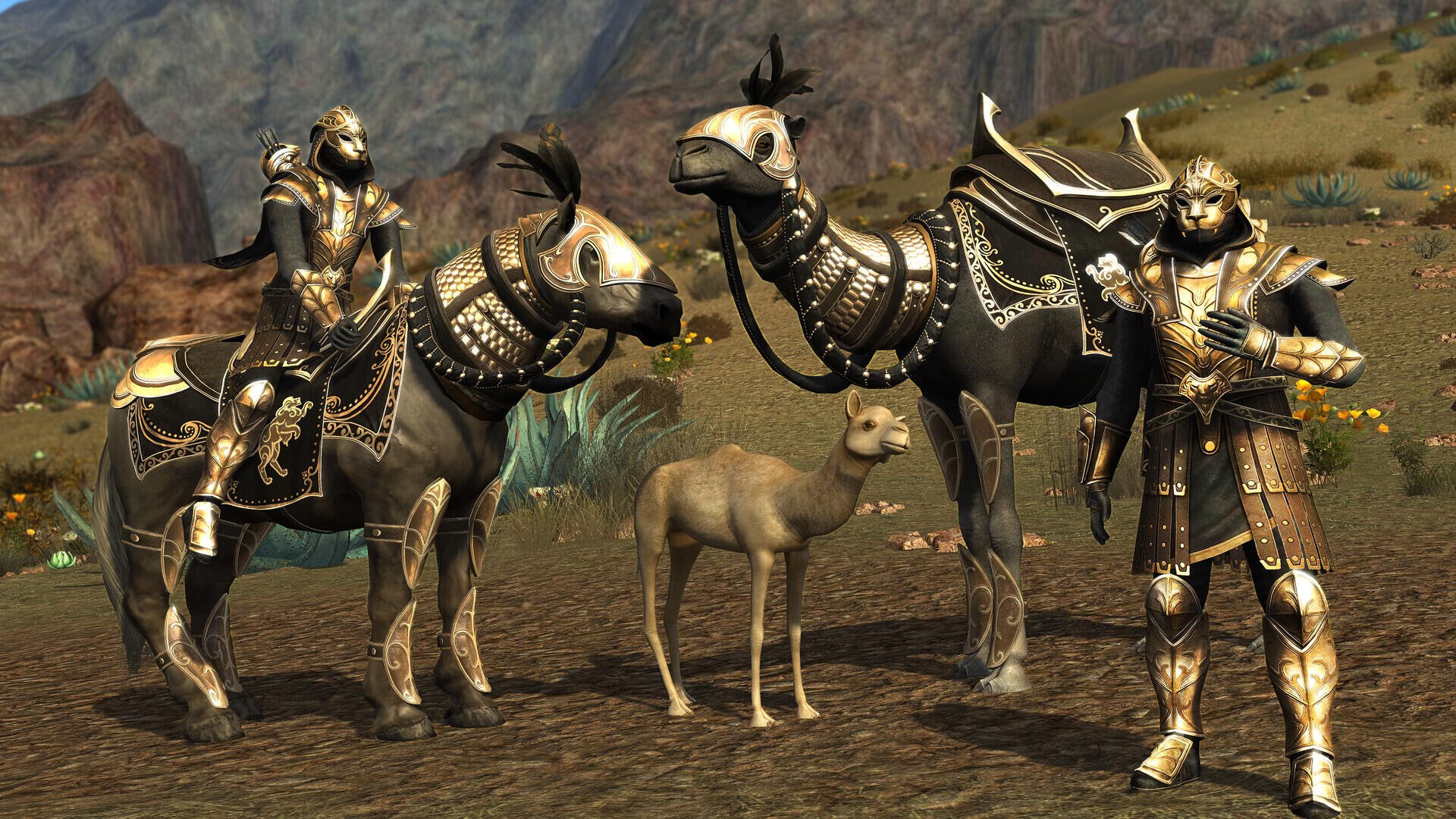 HD PC desktop wallpaper: game screenshot from The Lord of the Rings Online showing gold-armored riders with armored camels and a foal on a rocky plain.