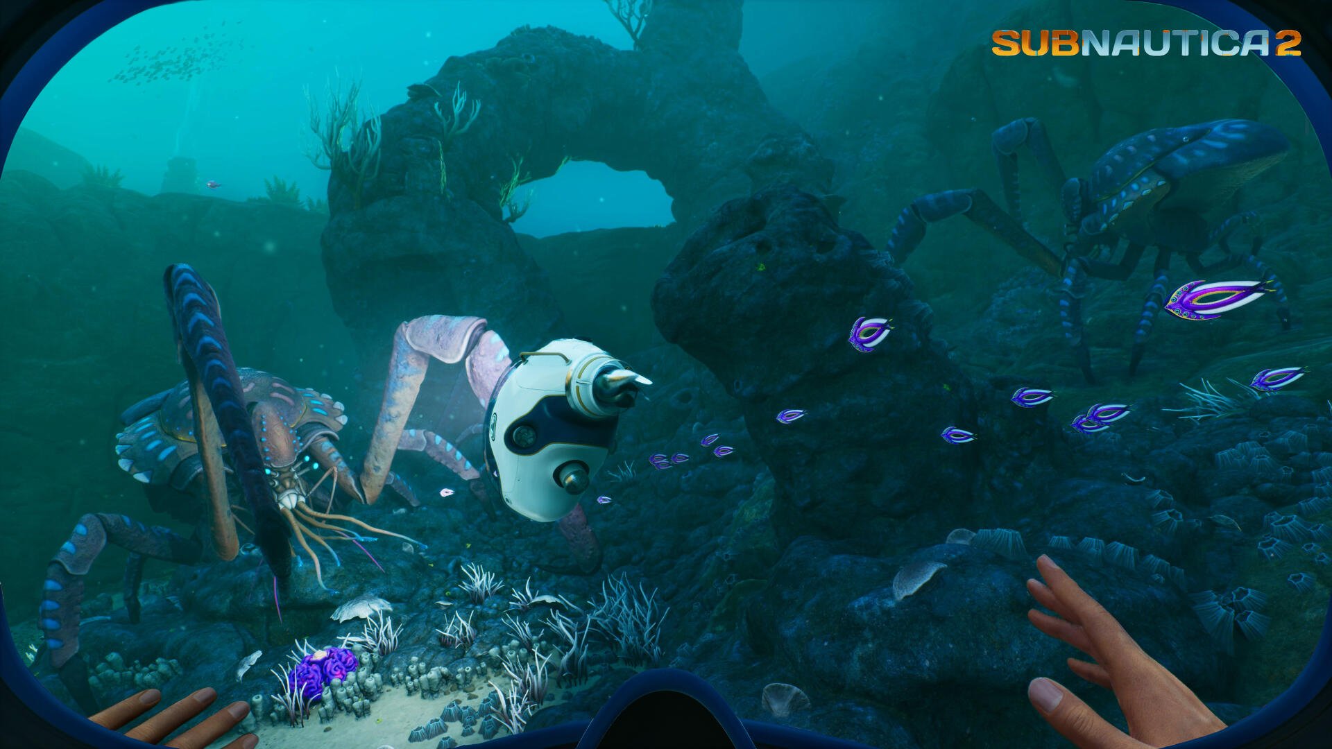 4K Ultra HD PC desktop wallpaper from the video game Subnautica 2: first-person underwater scene with a small robot drone, bioluminescent fish and rocky seafloor.