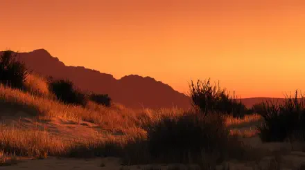 4K Ultra HD PC desktop wallpaper — desert sunset with warm orange sky, wind-swept dunes, sparse scrub and a silhouetted mountain ridge.