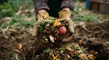 Gloved hands holding vegetable scraps and peelings over a rich compost heap in a garden — 4K Ultra HD PC desktop wallpaper and background.