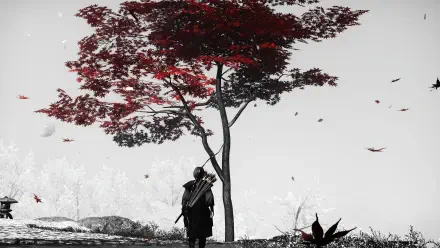 4K Ultra HD Action-Adventure Ghost of Tsushima PC desktop wallpaper/background: lone samurai beneath a crimson maple, fall leaves drifting across a stark monochrome landscape.