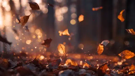 Golden Hour bokeh of falling leaves above a blurred leaf pile, warm light and floating particles — 2K Quad HD PC desktop wallpaper/background.