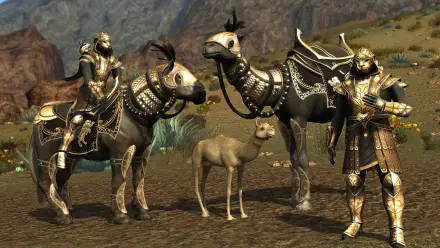 HD PC desktop wallpaper: game screenshot from The Lord of the Rings Online showing gold-armored riders with armored camels and a foal on a rocky plain.