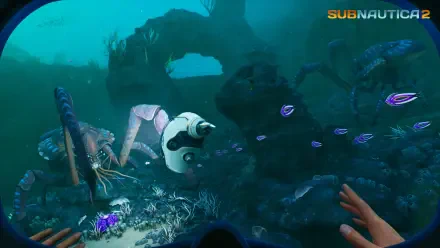 4K Ultra HD PC desktop wallpaper from the video game Subnautica 2: first-person underwater scene with a small robot drone, bioluminescent fish and rocky seafloor.