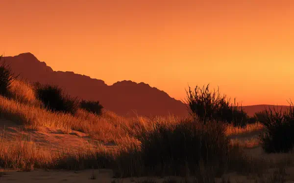 4K Ultra HD PC desktop wallpaper — desert sunset with warm orange sky, wind-swept dunes, sparse scrub and a silhouetted mountain ridge.