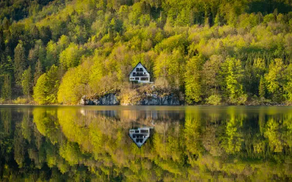 5K Ultra HD PC desktop wallpaper: green natural landscape of a forested lakeshore with a solitary cabin mirrored in calm water.
