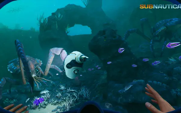 4K Ultra HD PC desktop wallpaper from the video game Subnautica 2: first-person underwater scene with a small robot drone, bioluminescent fish and rocky seafloor.