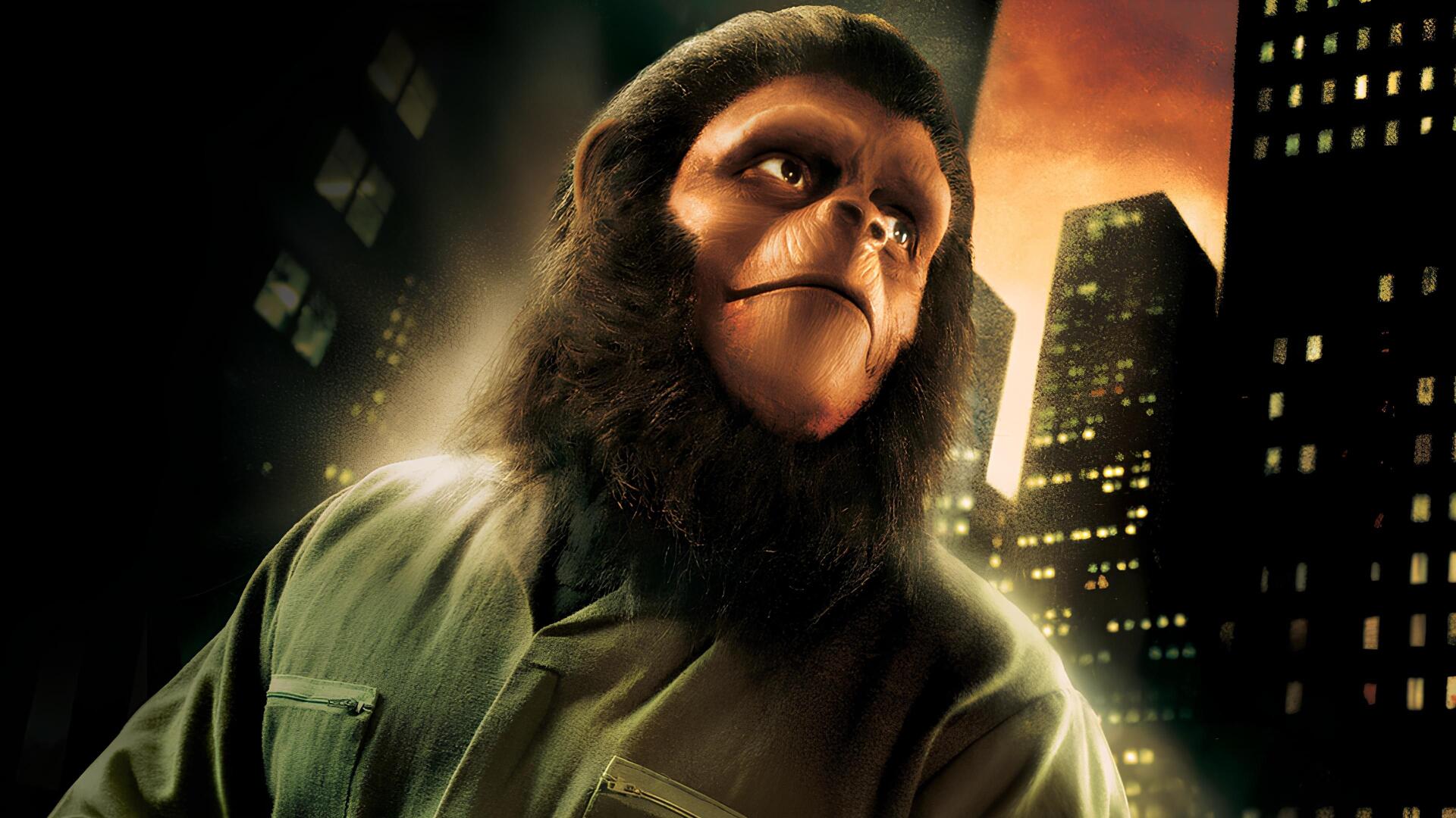 Planet of the Apes 4K Ultra HD PC desktop wallpaper/background: close-up of an ape in a military-style jacket, lit by warm light against a backdrop of glowing skyscrapers at night.