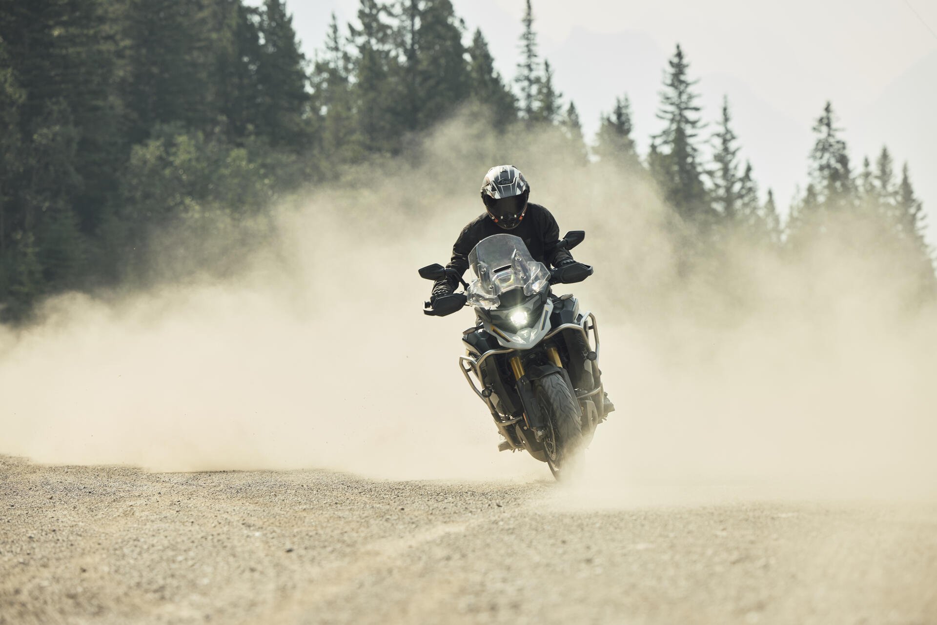 Motorcyclist riding a Triumph Tiger 1200 through a dusty forest trail, captured in an 8K Ultra HD desktop wallpaper.