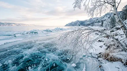 Frozen turquoise lake with cracked ice and frost-covered branches against snowy mountains and a pale sky — 5K Ultra HD PC desktop wallpaper and background.