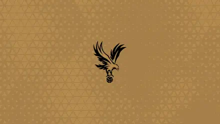 Crystal Palace F.C. black eagle logo centered on textured gold background with subtle triangle pattern — 2K Quad HD PC desktop wallpaper/background.