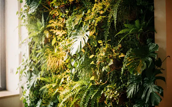 Lush living wall of ferns, philodendrons and trailing vines, vibrant green textures and dappled light — 4K Ultra HD PC desktop wallpaper and background.