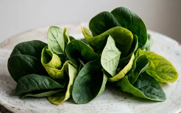 Close-up of fresh spinach leaves on a speckled ceramic plate, rendered in crisp detail as a 5K Ultra HD PC desktop wallpaper and background.