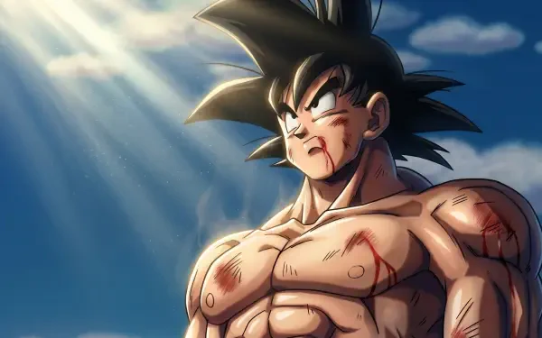 HD PC desktop wallpaper of Goku (Dragon Ball Z) — battle-scarred, muscular, staring into sunbeams over a dramatic anime sky.