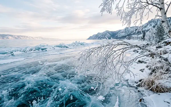 Frozen turquoise lake with cracked ice and frost-covered branches against snowy mountains and a pale sky — 5K Ultra HD PC desktop wallpaper and background.