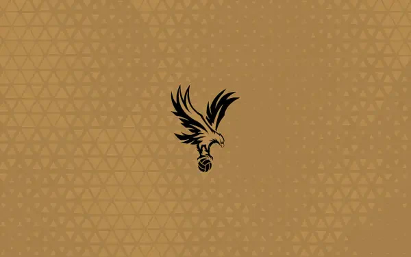 Crystal Palace F.C. black eagle logo centered on textured gold background with subtle triangle pattern — 2K Quad HD PC desktop wallpaper/background.
