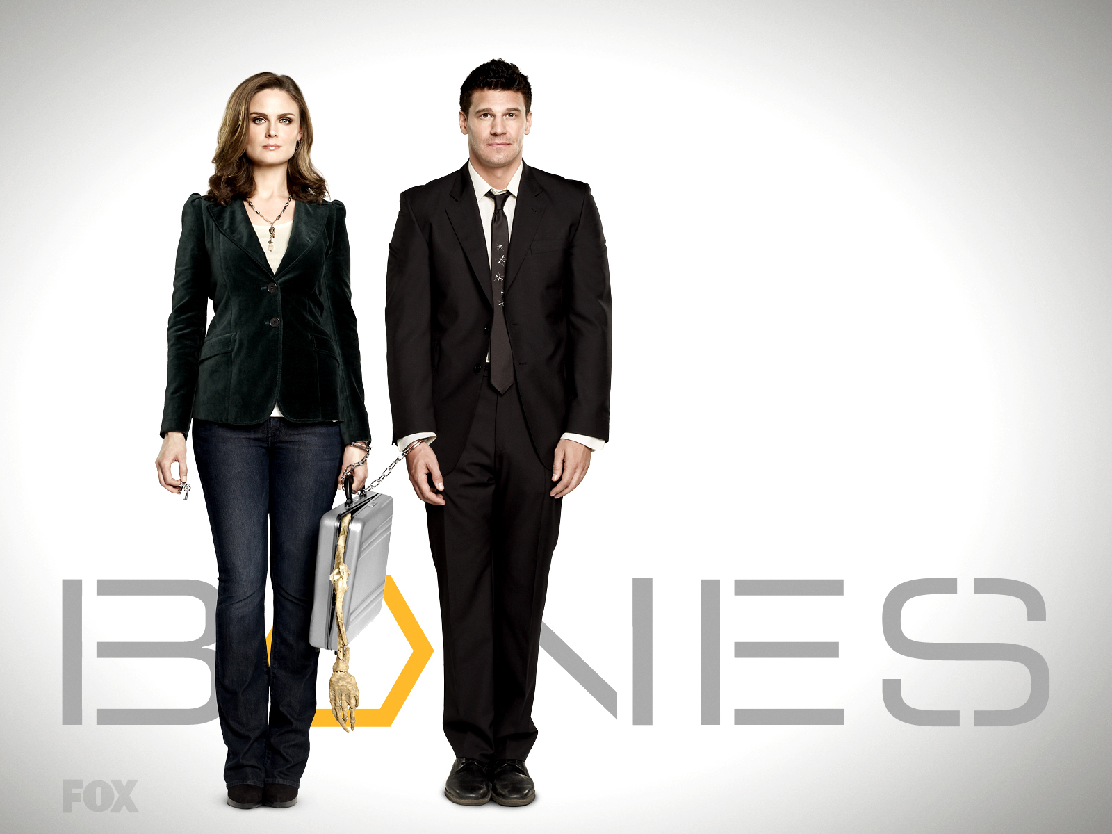 TV Show Bones HD Wallpaper | Background Image