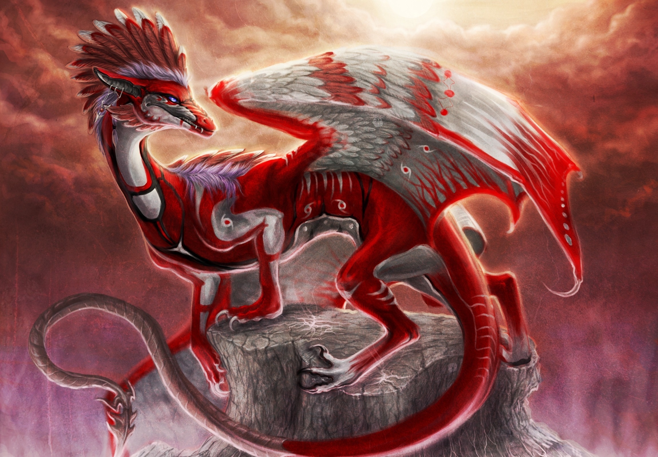 Dragon Full HD Wallpaper and Background Image 2300x1599 