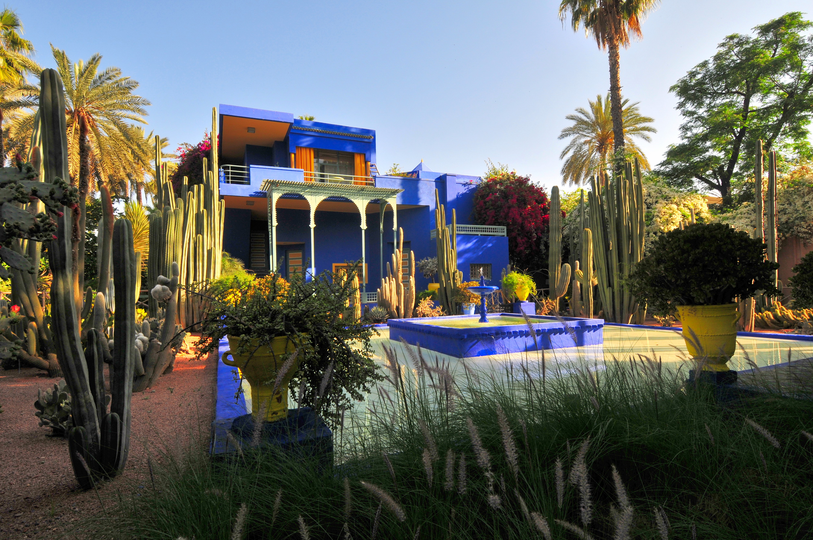 Morocco Marrakech Jardin Majorelle HD Wallpaper | Background Image