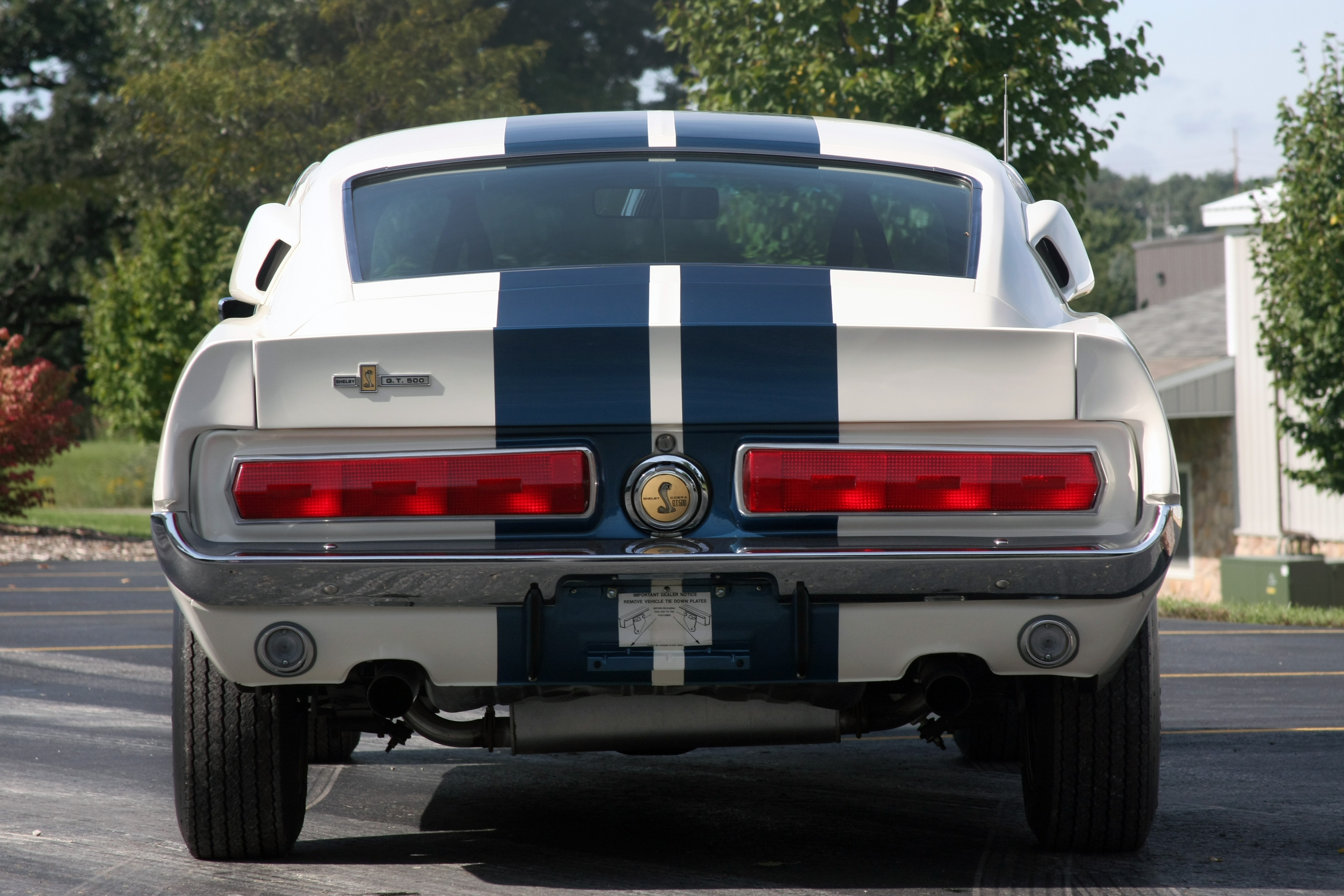 ford shelby