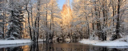 HD PC desktop wallpaper featuring a serene winter landscape with snow-covered trees reflecting on calm water in a quiet forest setting.