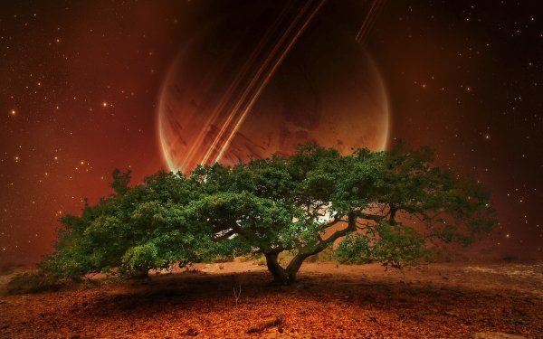 Sci Fi Landscape Tree CGI Planet Sky Stars HD Wallpaper | Background Image