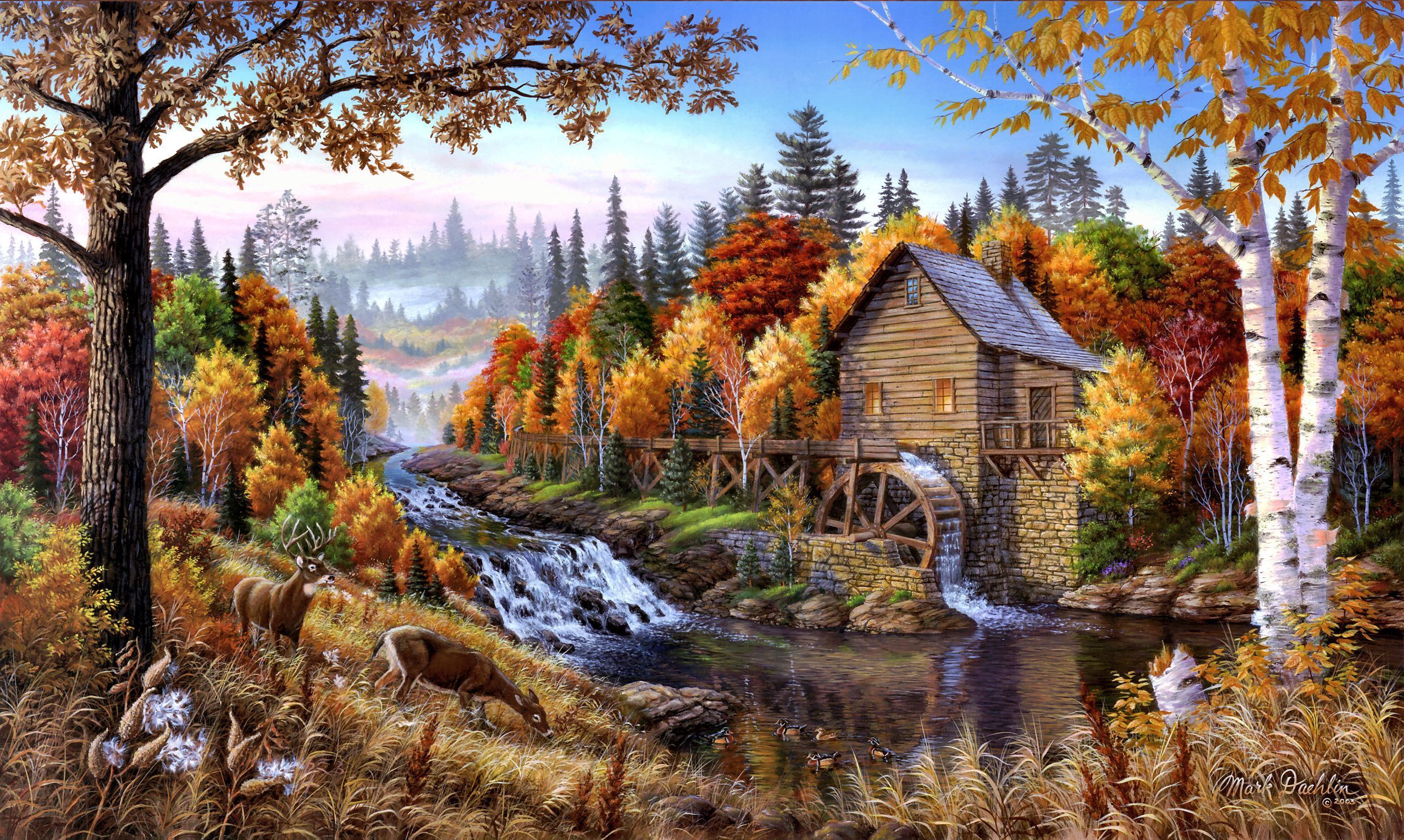 Old forest mill by Mark Daehlin