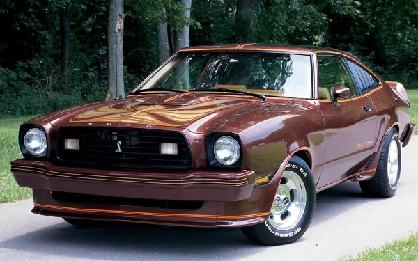 vehicle ford mustang king cobra HD Desktop Wallpaper | Background Image