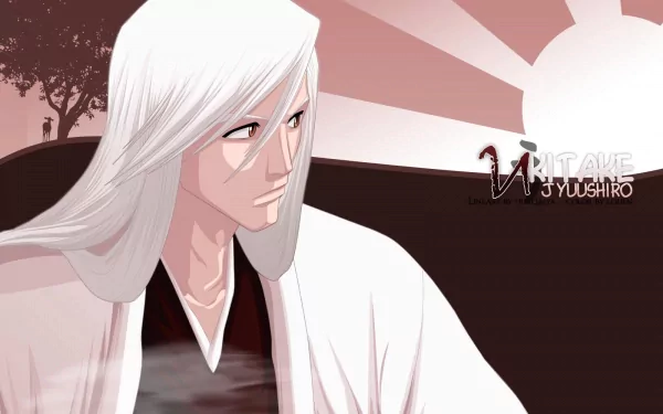 Jūshirō Ukitake Anime Bleach HD Desktop Wallpaper | Background Image