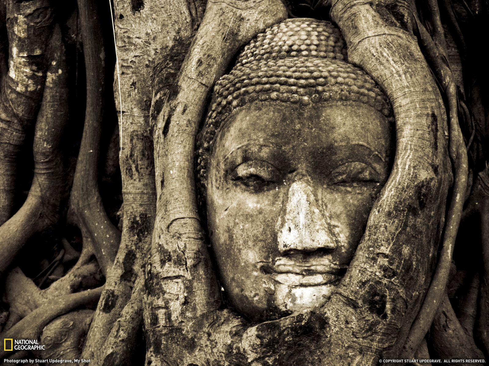 Religious Buddha Wallpaper