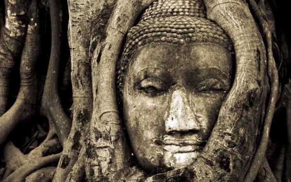 India religious buddha HD Desktop Wallpaper | Background Image